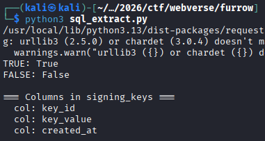 Furrow — figure 41